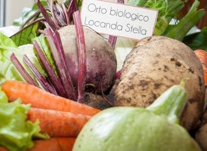 Bed & Breakfast Stella Roana